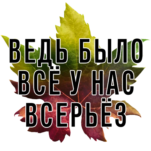 🖤 Стикер «3 сентября поют все» для Telegram
