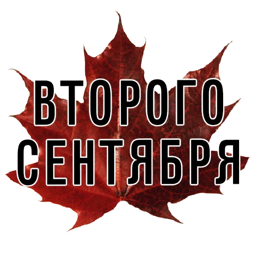 2️⃣ Стикер «3 сентября поют все» для Telegram