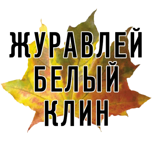 🐦 Стикер «3 сентября поют все» для Telegram