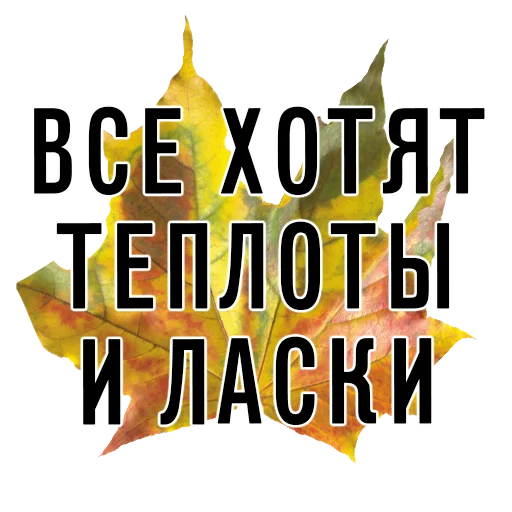 🥰 Стикер «3 сентября поют все» для Telegram