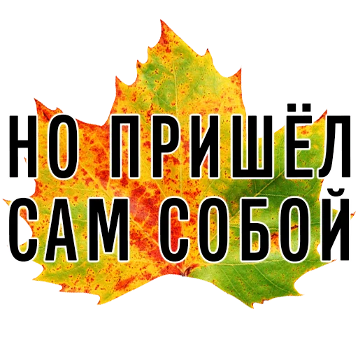 🦵 Стикер «3 сентября поют все» для Telegram