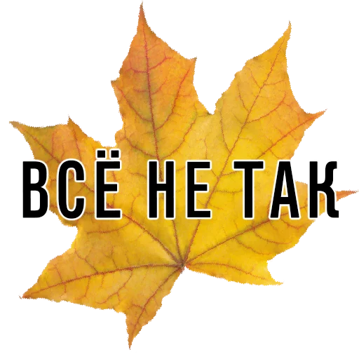 🙅‍♀️ Стикер «3 сентября поют все» для Telegram