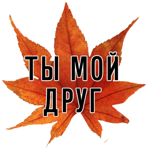 🤝 Стикер «3 сентября поют все» для Telegram