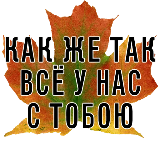 ❓ Стикер «3 сентября поют все» для Telegram