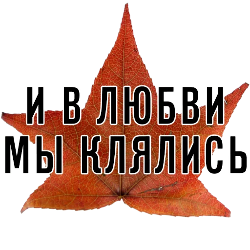 ❤️ Стикер «3 сентября поют все» для Telegram
