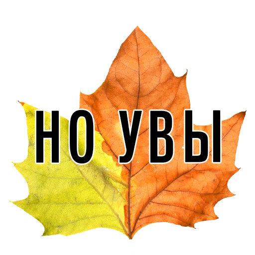 🤷‍♀️ Стикер «3 сентября поют все» для Telegram