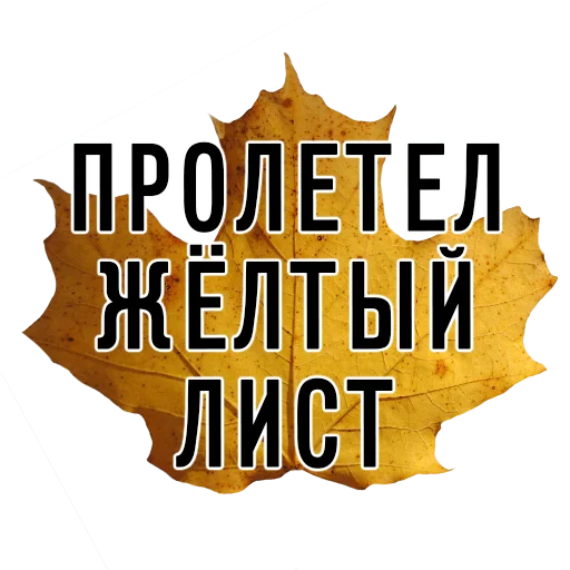 🍂 Стикер «3 сентября поют все» для Telegram