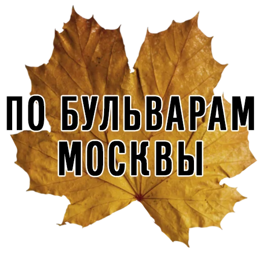 🏙 Стикер «3 сентября поют все» для Telegram