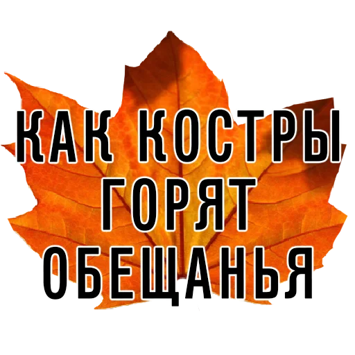 🔥 Стикер «3 сентября поют все» для Telegram