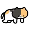Стикер 8 🤺Котик