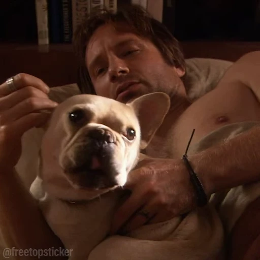 🐶 Стикер «Californication» для Telegram