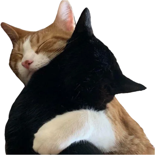 🐈 Стикер «сладкая вата со вкусом табака» для Telegram
