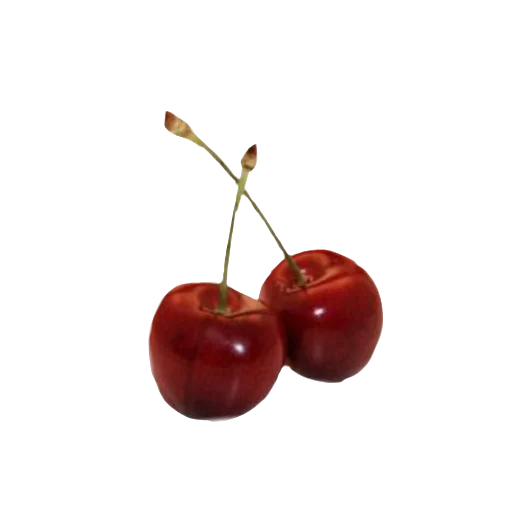 🍒 Стикер «сладкая вата со вкусом табака» для Telegram