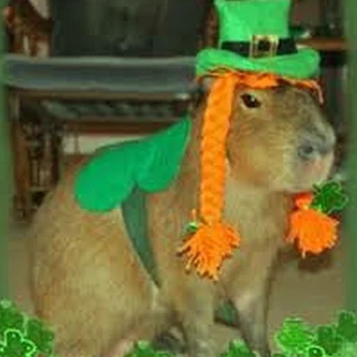 🍀 Стикер «Capybara Are My Life» для Telegram