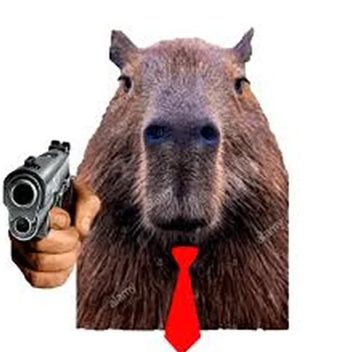 🔫 Стикер «Capybara Are My Life» для Telegram
