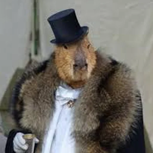 🤑 Стикер «Capybara Are My Life» для Telegram