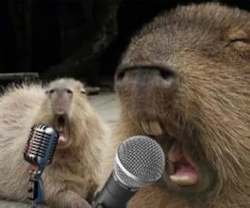 🎤 Стикер «Capybara» для Telegram
