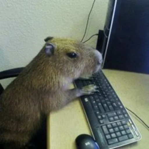 🎧 Стикер «Capybara» для Telegram
