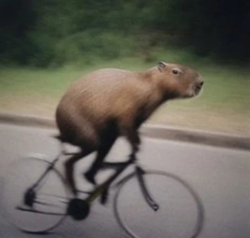 🚲 Стикер «Capybara» для Telegram