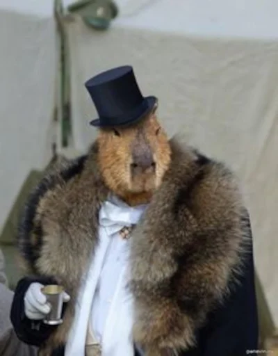 🎩 Стикер «Capybara» для Telegram