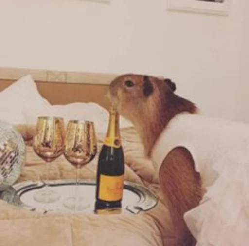 🥂 Стикер «Capybara» для Telegram