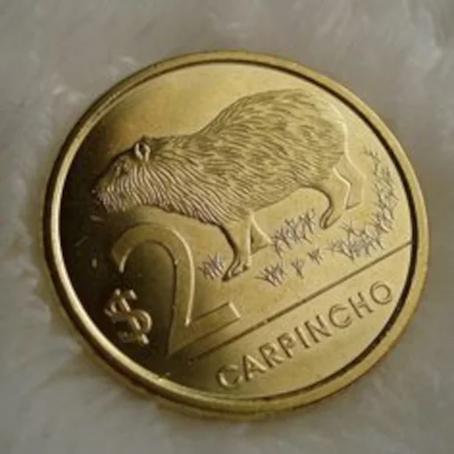 🪙 Стикер «Capybara» для Telegram