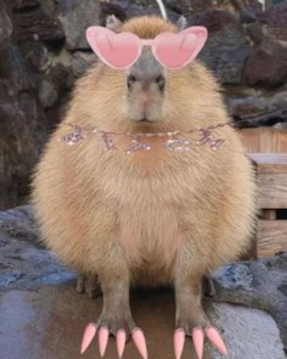 💅 Стикер «Capybara» для Telegram