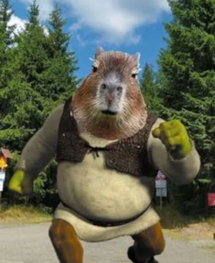 💪 Стикер «Capybara» для Telegram