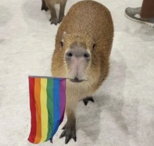 🏳‍🌈 Стикер «Capybara» для Telegram