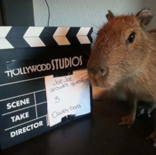 🎬 Стикер «Capybara» для Telegram