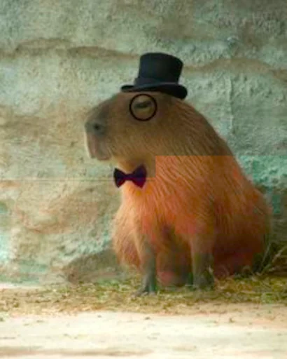 🧐 Стикер «Capybara» для Telegram