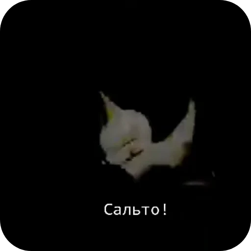 🥳 Стикер «Car» для Telegram