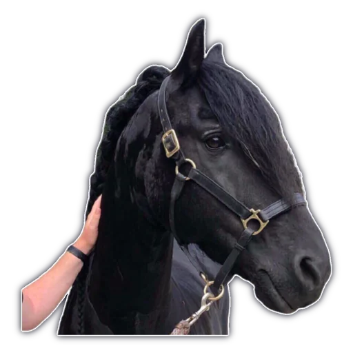 🐎 Стикер «cassette aesthetics» для Telegram