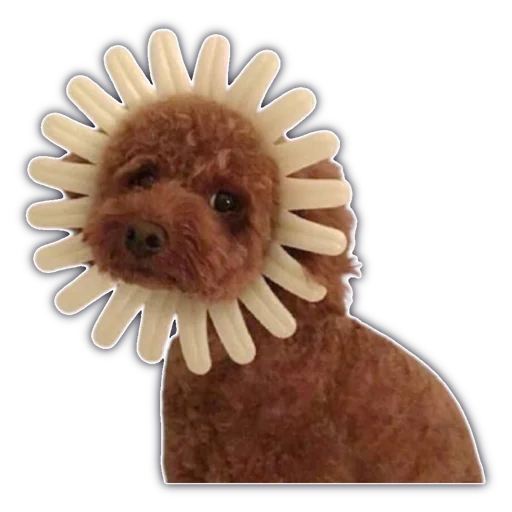 🐕 Стикер «cassette aesthetics» для Telegram