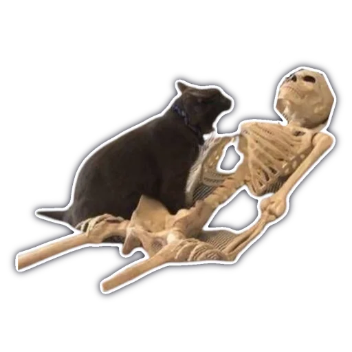 💀 Стикер «cassette aesthetics» для Telegram
