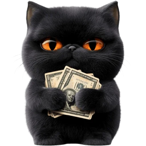 🤑 Стикер «Угрюмый кот» для Telegram
