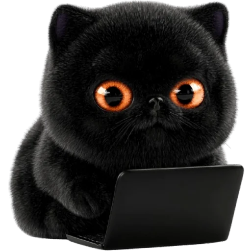 🤓 Стикер «Угрюмый кот» для Telegram