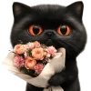 💐 Эмодзи «Угрюмый кот» для Telegram