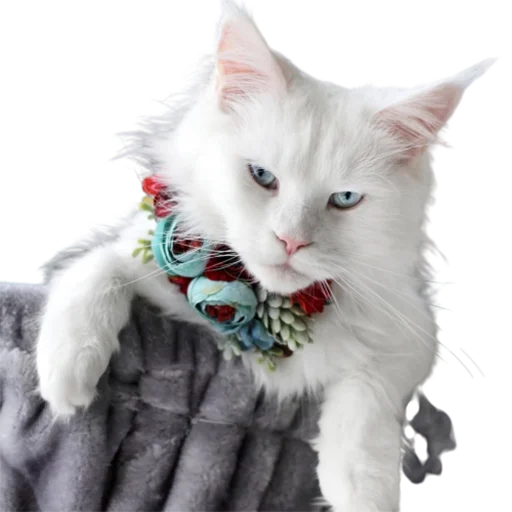 😉 Стикер «catass» для Telegram