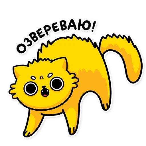 😡 Стикер «cat bulchik» для Telegram