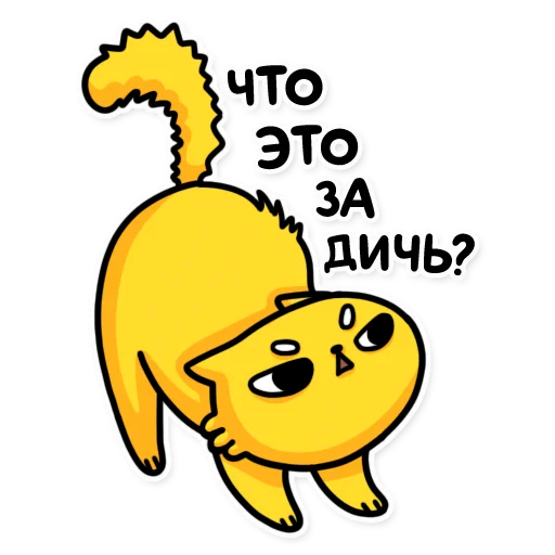 🫣 Стикер «cat bulchik» для Telegram