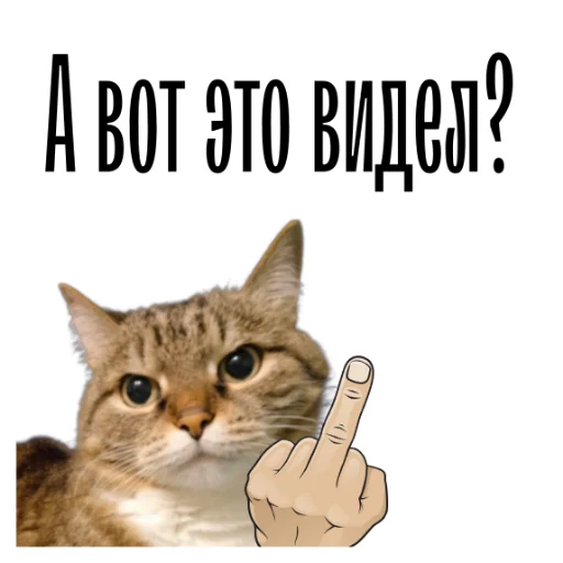 😈 Стикер «cat channel» для Telegram