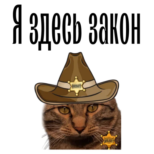 🤠 Стикер «cat channel» для Telegram