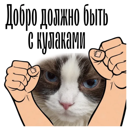 😼 Стикер «cat channel» для Telegram