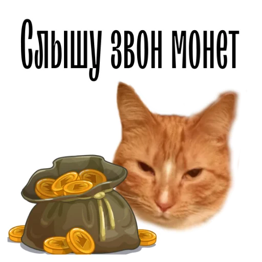 🤑 Стикер «cat channel» для Telegram