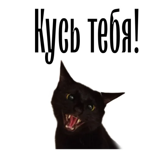 😼 Стикер «cat channel» для Telegram