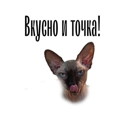😛 Стикер «cat channel» для Telegram