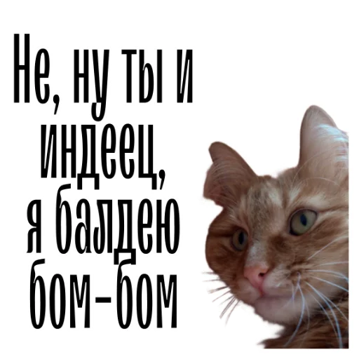 😃 Стикер «cat channel» для Telegram