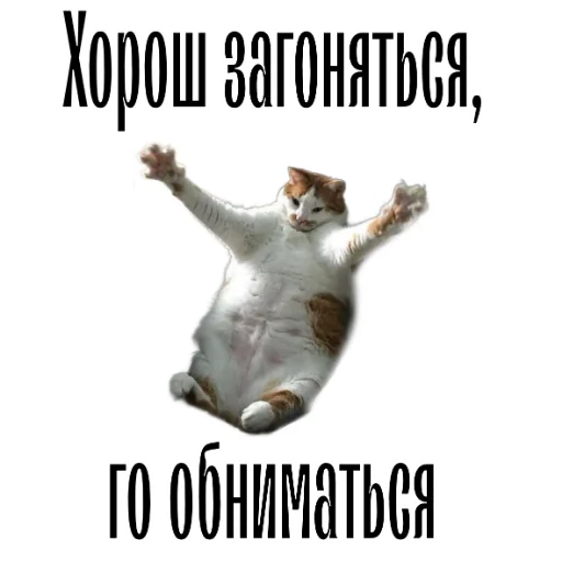 👐 Стикер «cat channel» для Telegram