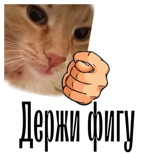 👎 Стикер «cat channel» для Telegram
